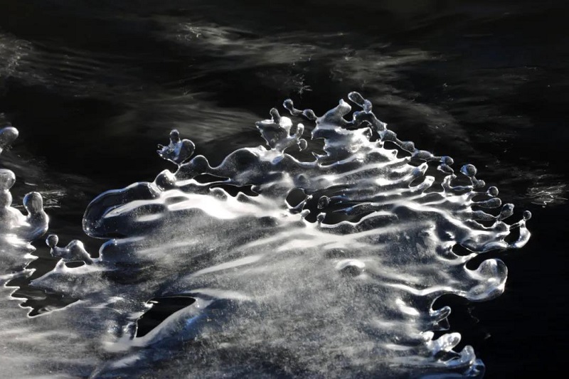 大寒：冬將盡，花可期，共盼春來